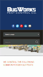 Mobile Screenshot of bugworksrgv.com